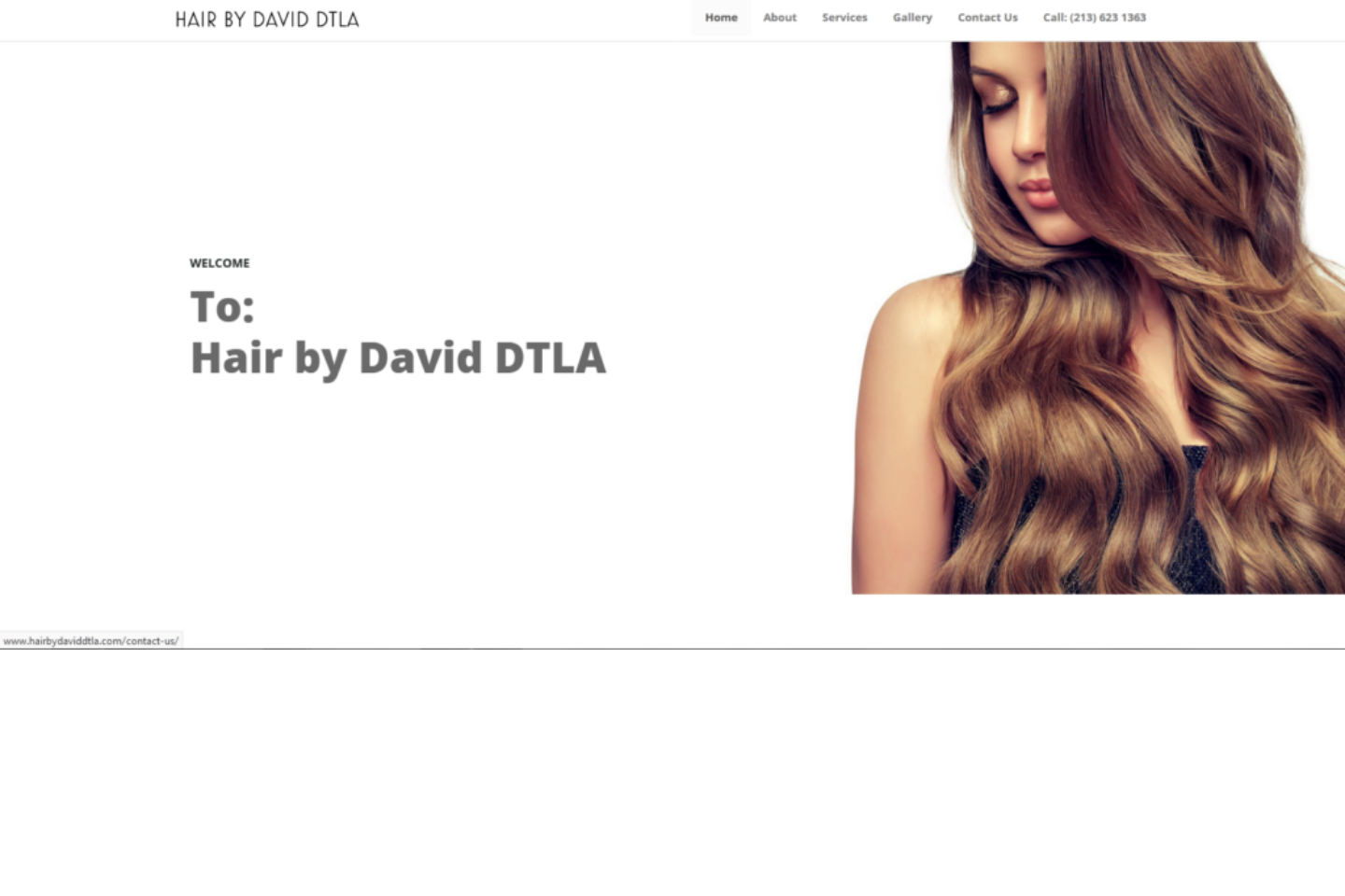 Hair by David DTLA website screenshot
